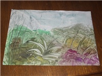 8e007cf0-Picture 016.jpg